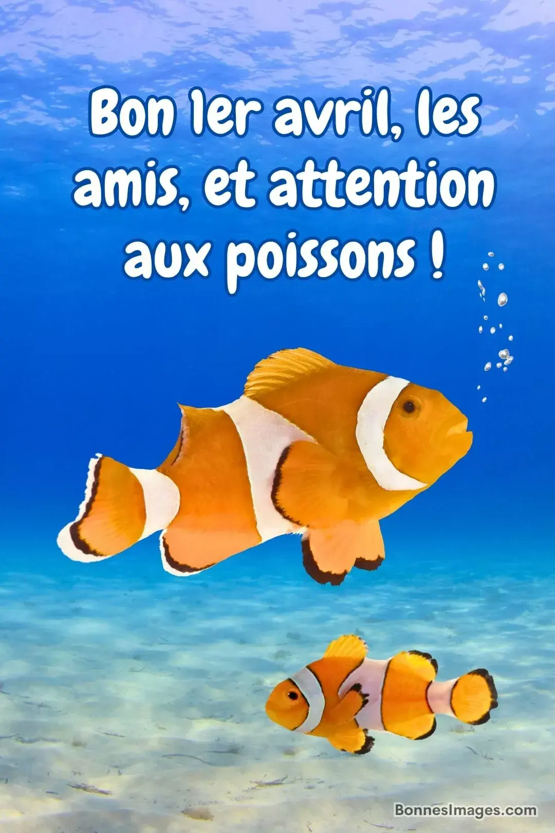 Poisson avril 017