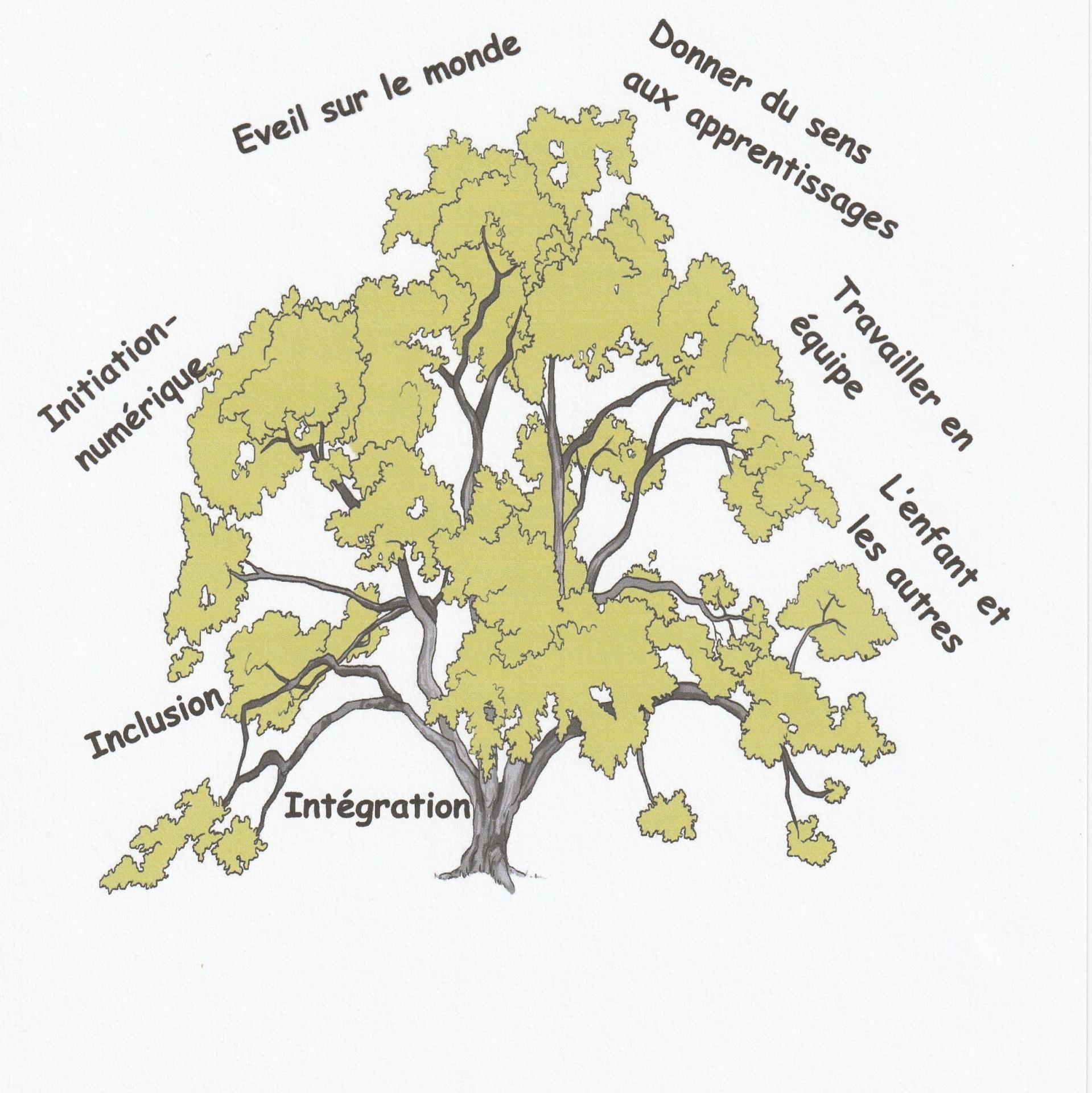 Projet pedagogique arbre