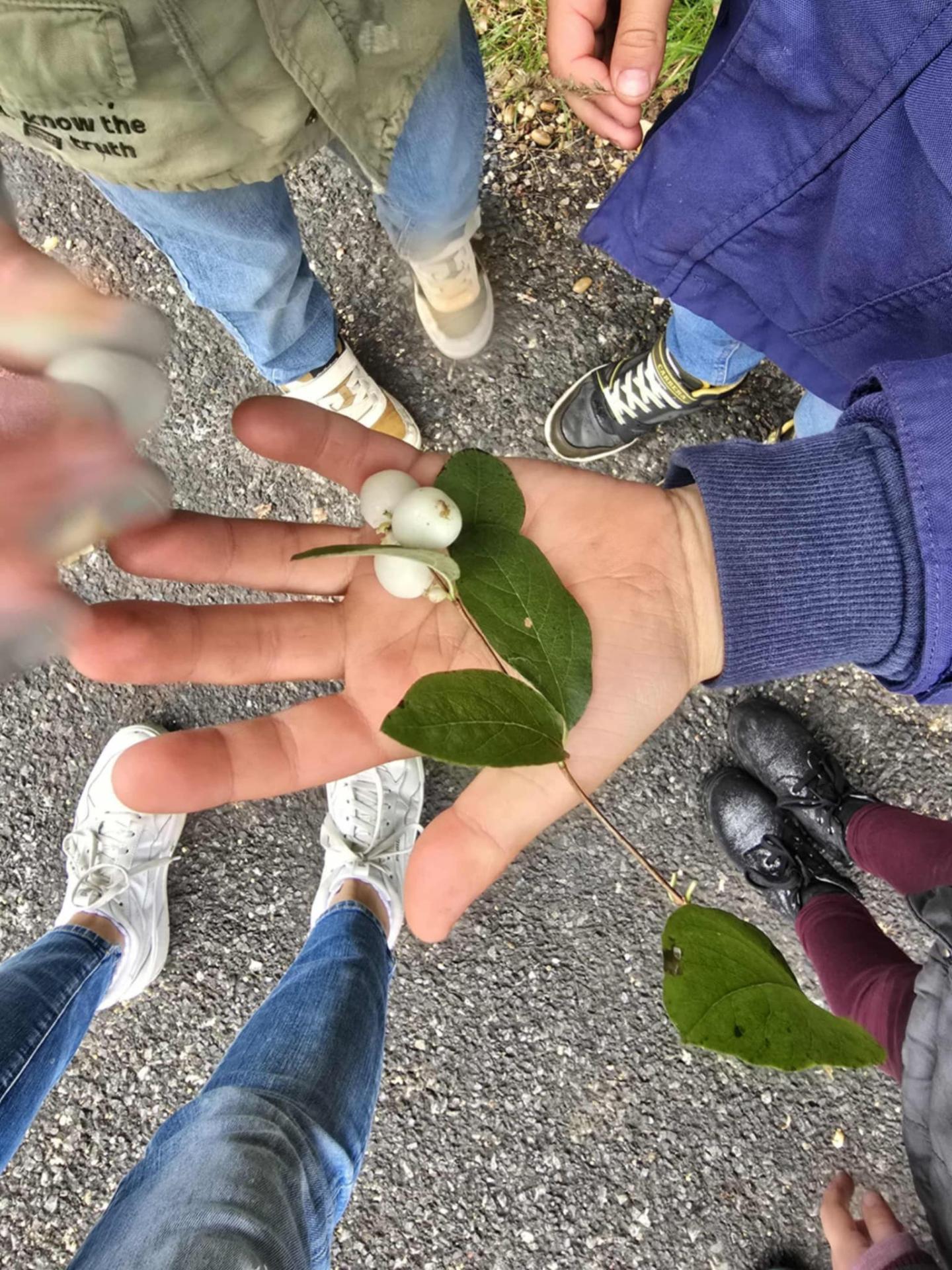 Sp8